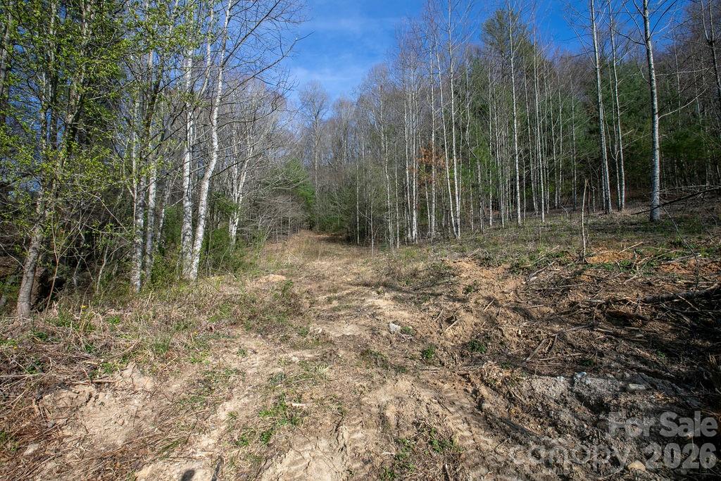 Tbd Middlefork Road Brevard NC 28712