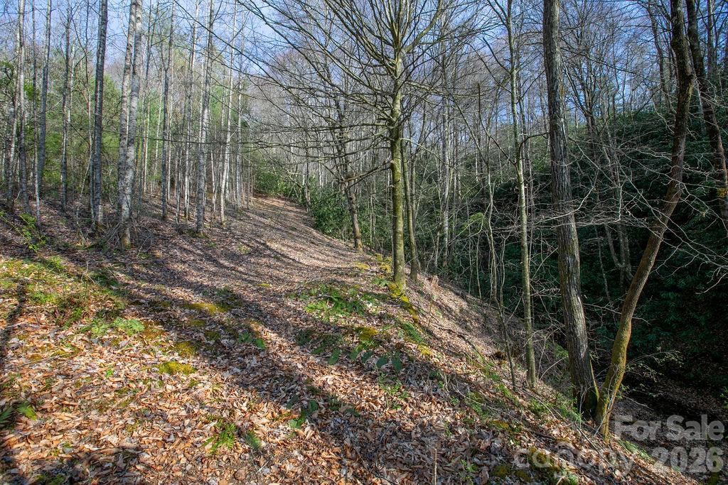 Tbd Middlefork Road Brevard NC 28712