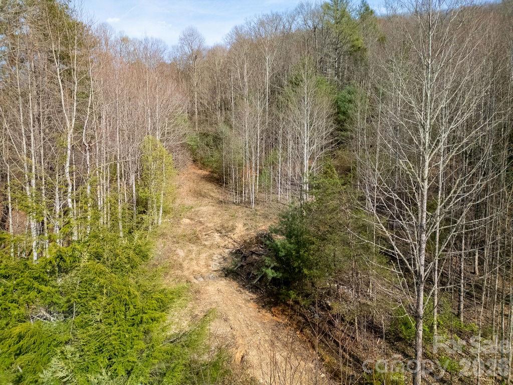 Tbd Middlefork Road Brevard NC 28712