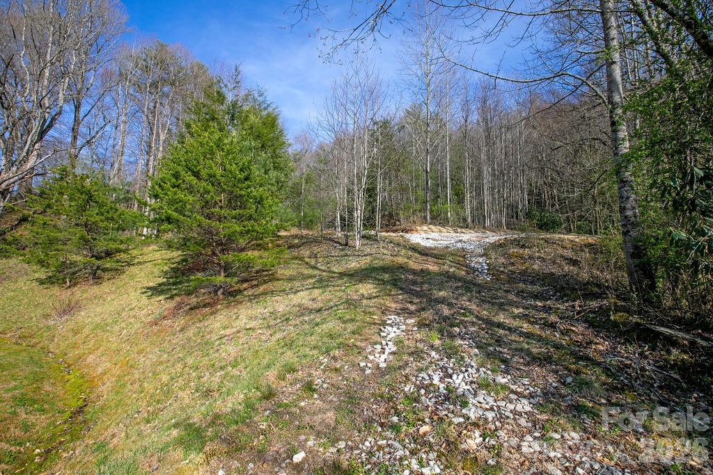 Tbd Middlefork Road Brevard NC 28712