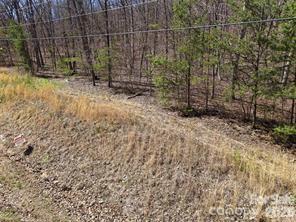 Tbd Ridge Creek Drive Taylorsville NC 28681