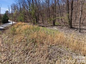 Tbd Ridge Creek Drive Taylorsville NC 28681