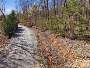 Tbd Ridge Creek Drive Taylorsville NC 28681