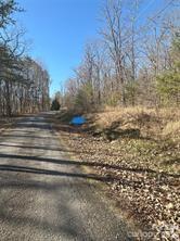 Tbd Ridge Creek Drive Taylorsville NC 28681