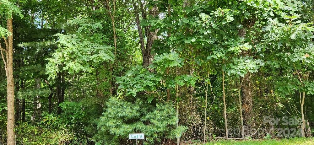 00000 Barebridge Drive Burnsville NC 28714