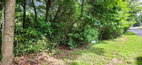 00000 Barebridge Drive Burnsville NC 28714