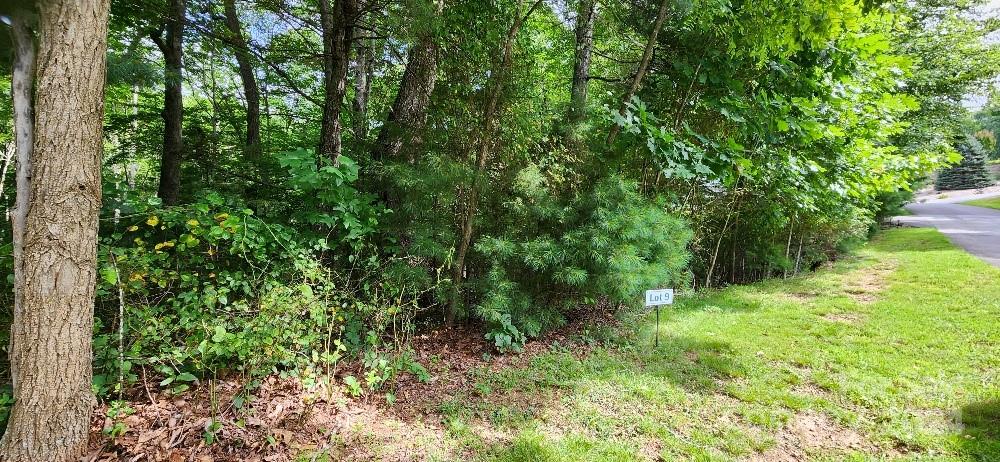00000 Barebridge Drive Burnsville NC 28714