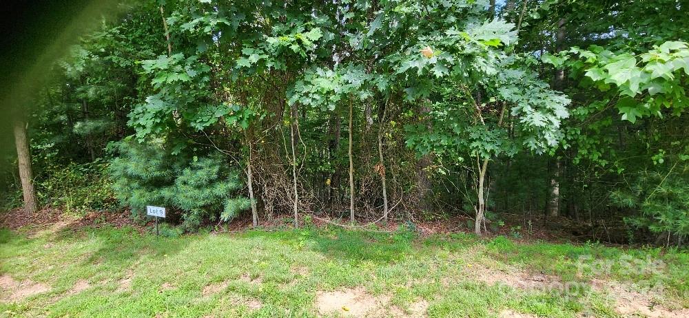 00000 Barebridge Drive Burnsville NC 28714