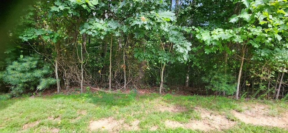 00000 Barebridge Drive Burnsville NC 28714