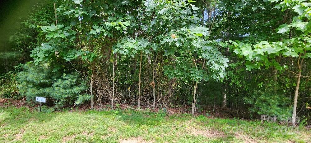 00000 Barebridge Drive Burnsville NC 28714