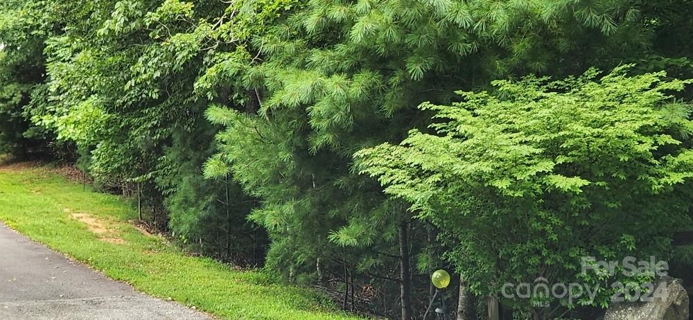 00000 Barebridge Drive Burnsville NC 28714