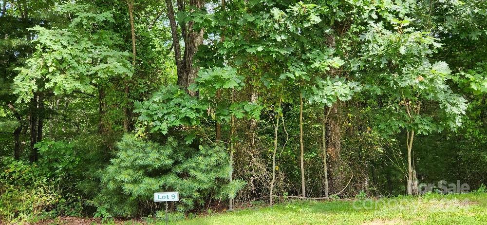 00000 Barebridge Drive Burnsville NC 28714