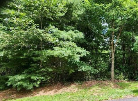 00000 Barebridge Drive Burnsville NC 28714
