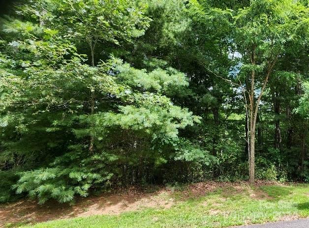 00000 Barebridge Drive Burnsville NC 28714