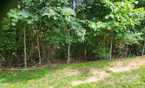 00000 Barebridge Drive Burnsville NC 28714