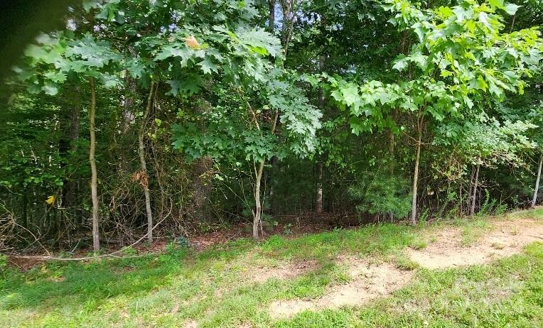 00000 Barebridge Drive Burnsville NC 28714