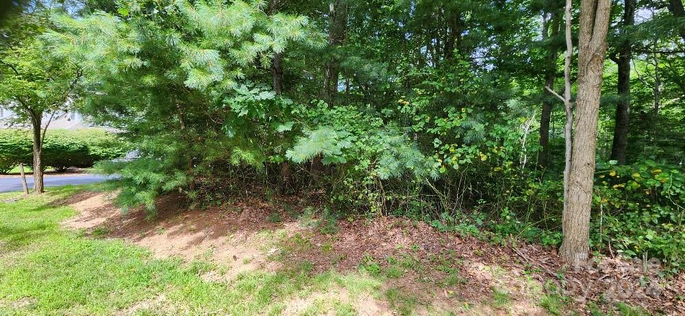 00000 Barebridge Drive Burnsville NC 28714