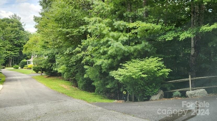 00000 Barebridge Drive Burnsville NC 28714