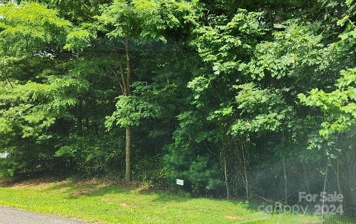 00000 Barebridge Drive Burnsville NC 28714