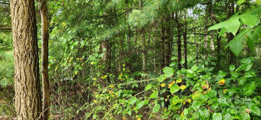 00000 Barebridge Drive Burnsville NC 28714