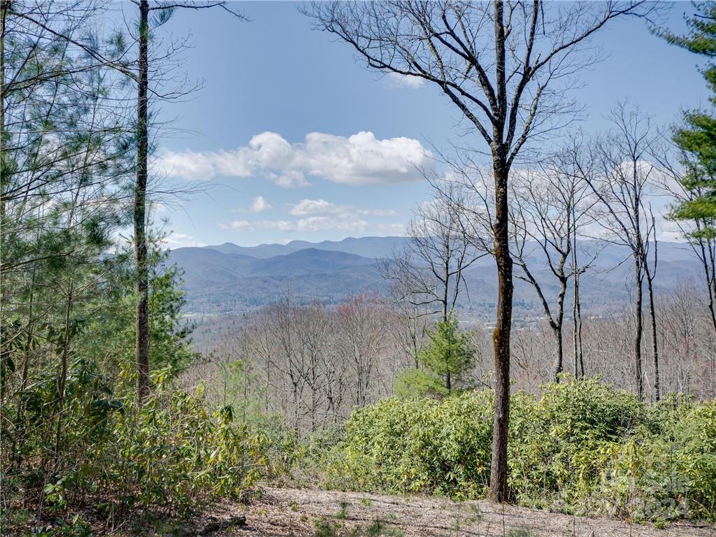 8B Reserve Road Pisgah Forest NC 28768