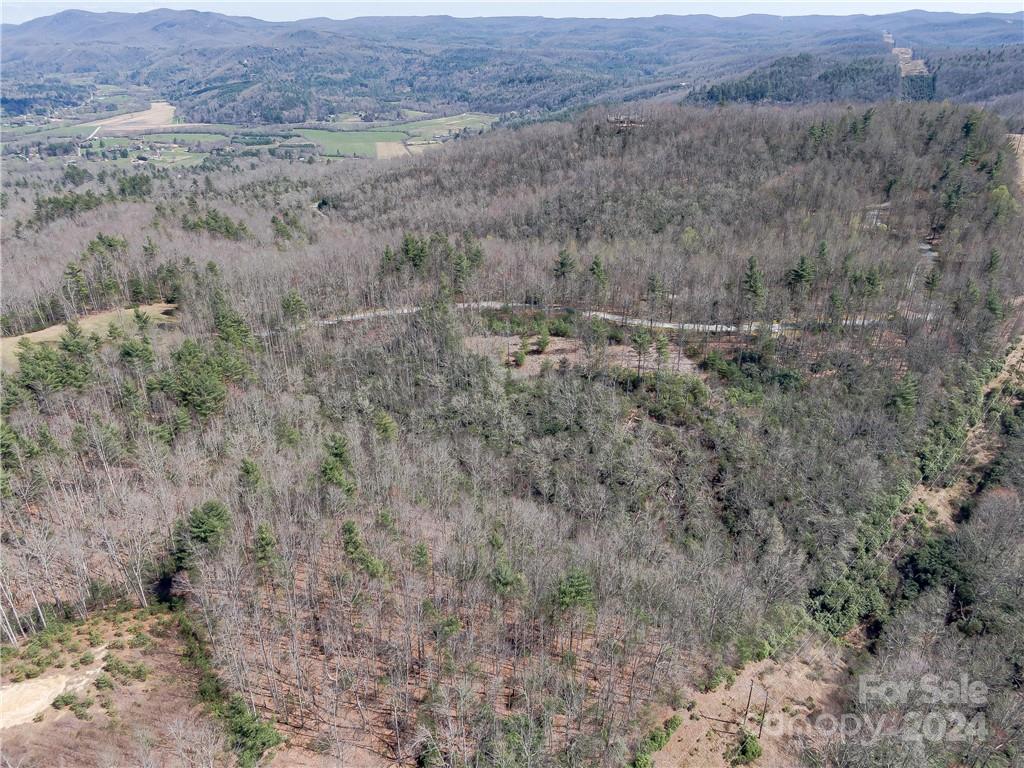 8B Reserve Road Pisgah Forest NC 28768
