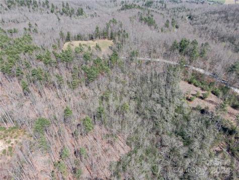 8B Reserve Road Pisgah Forest NC 28768