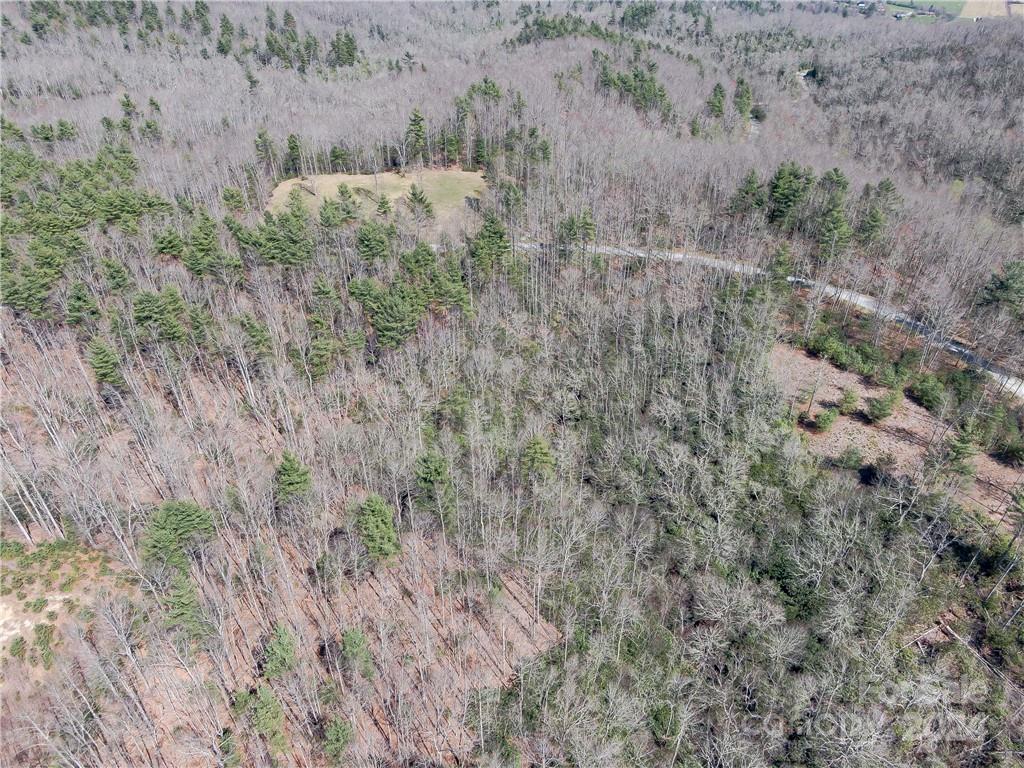 8B Reserve Road Pisgah Forest NC 28768