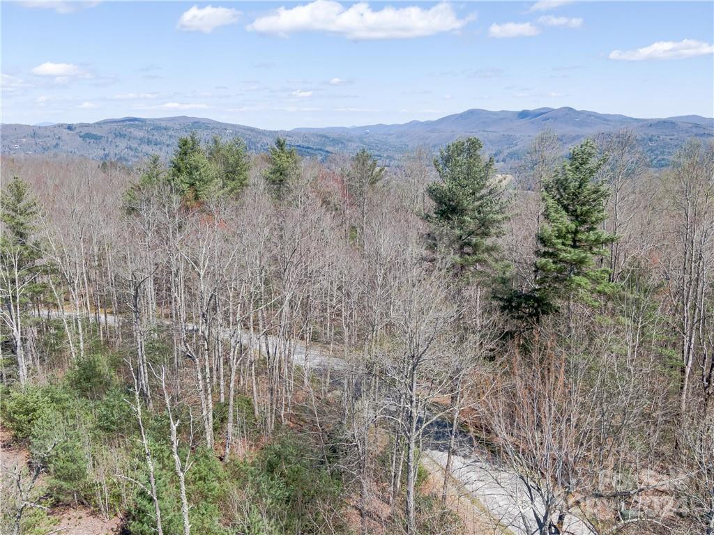 8B Reserve Road Pisgah Forest NC 28768