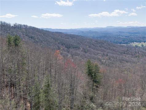 8B Reserve Road Pisgah Forest NC 28768