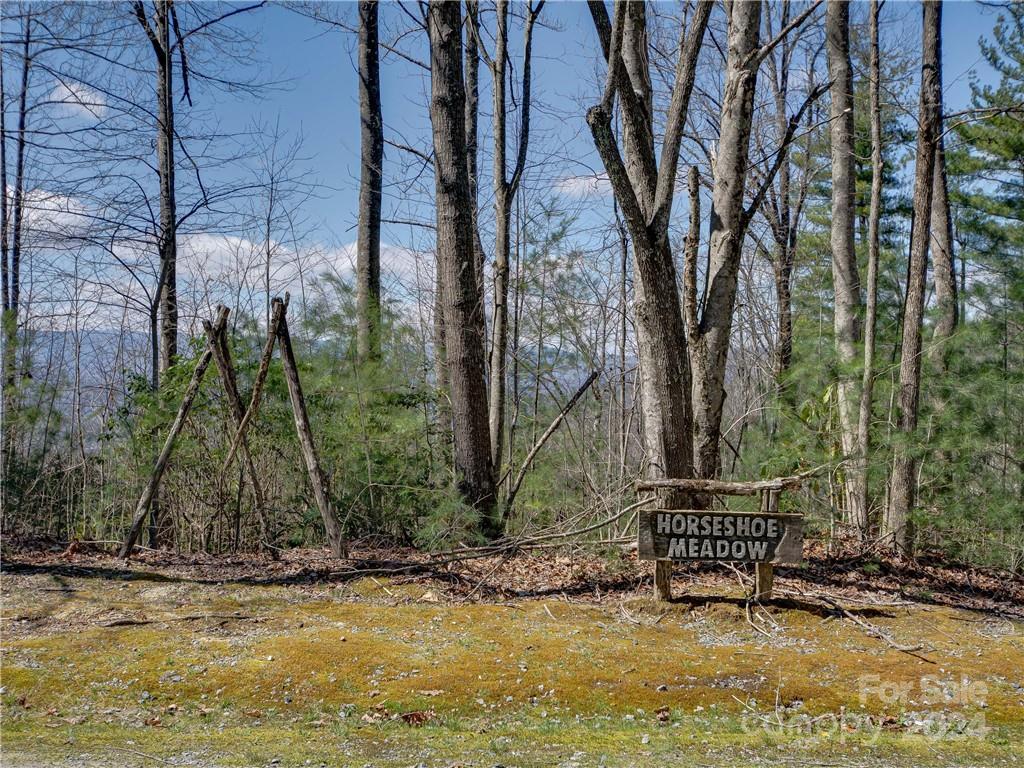 8B Reserve Road Pisgah Forest NC 28768
