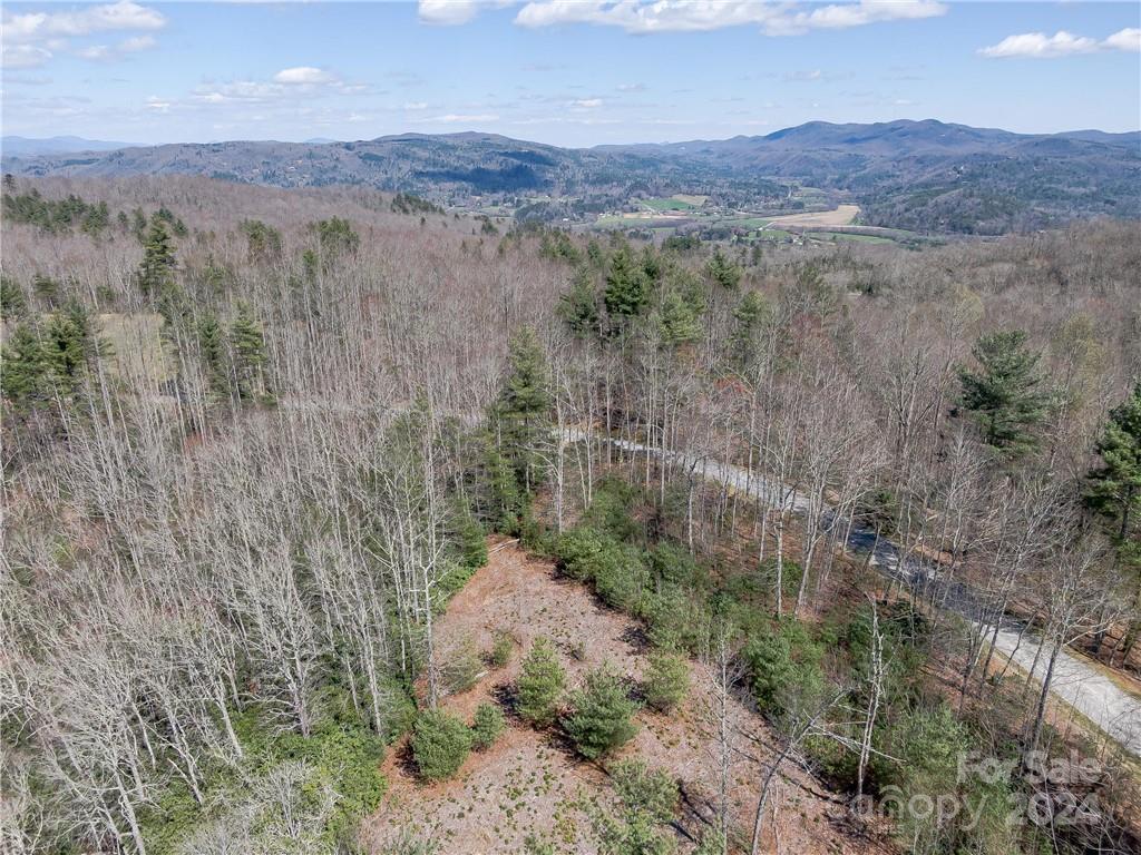 8B Reserve Road Pisgah Forest NC 28768