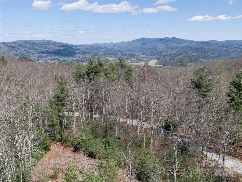 8B Reserve Road Pisgah Forest NC 28768