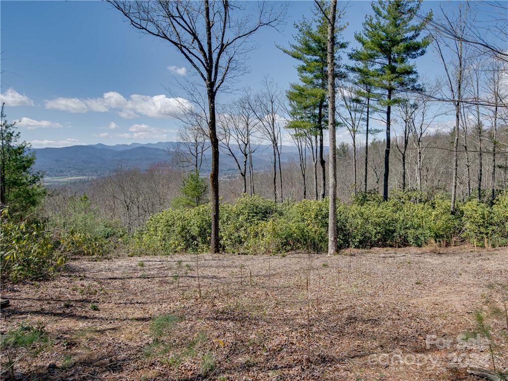 8B Reserve Road Pisgah Forest NC 28768
