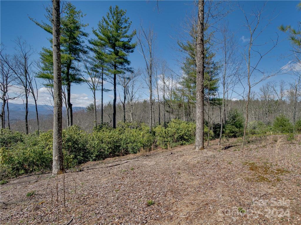8B Reserve Road Pisgah Forest NC 28768
