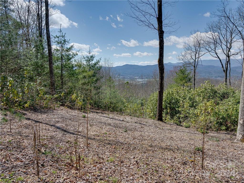 8B Reserve Road Pisgah Forest NC 28768