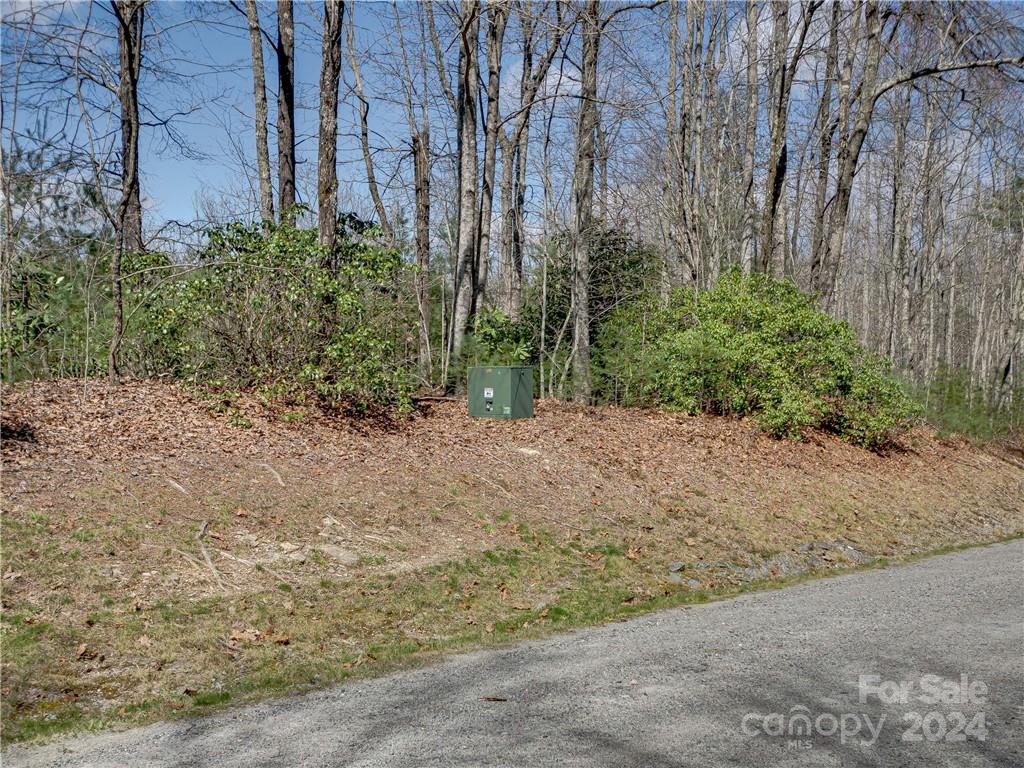 8B Reserve Road Pisgah Forest NC 28768
