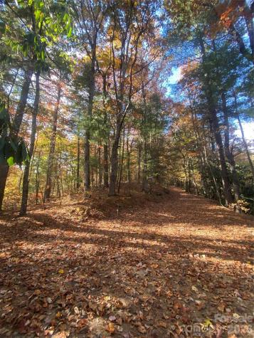 270 S Jarvis Drive Hendersonville NC 28792