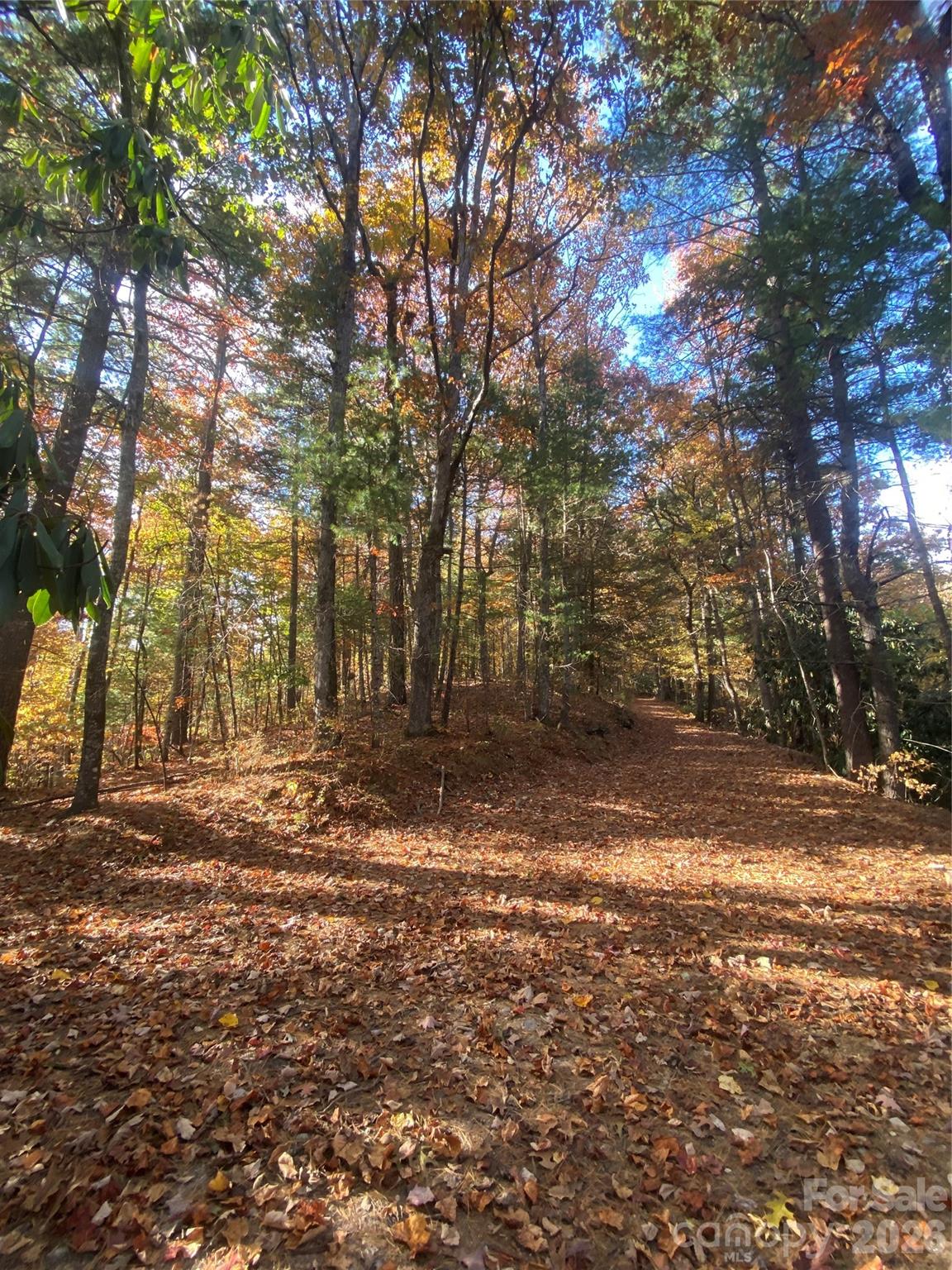 270 S Jarvis Drive Hendersonville NC 28792