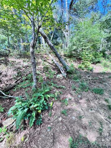 270 S Jarvis Drive Hendersonville NC 28792