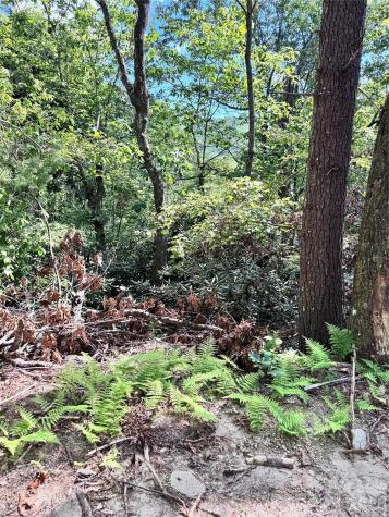 270 S Jarvis Drive Hendersonville NC 28792