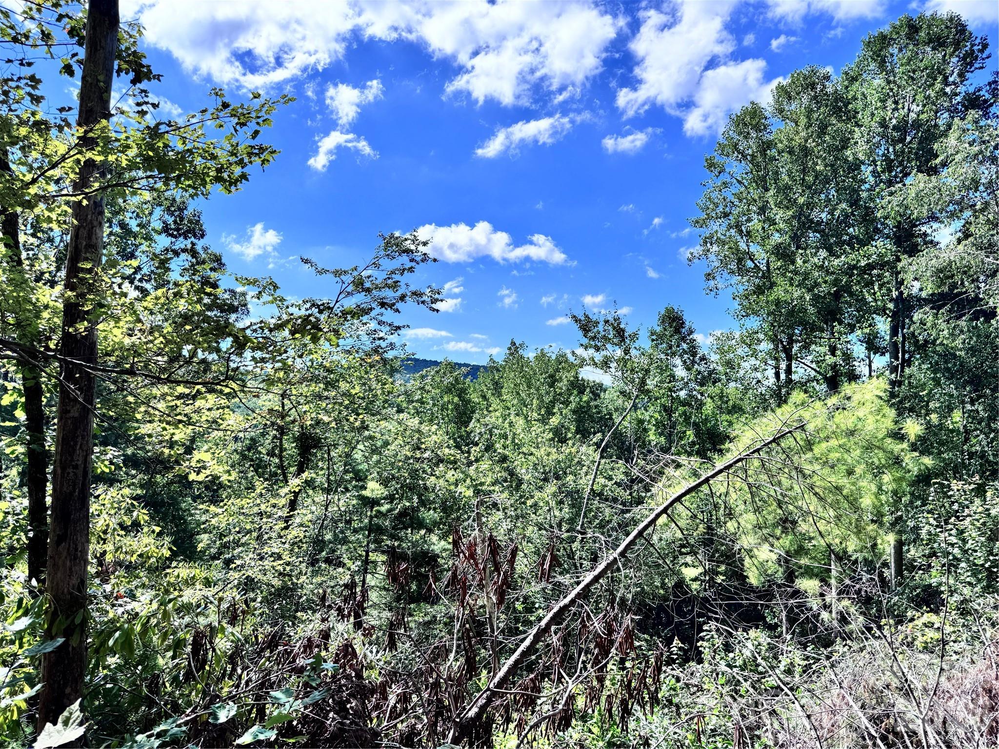 270 S Jarvis Drive Hendersonville NC 28792