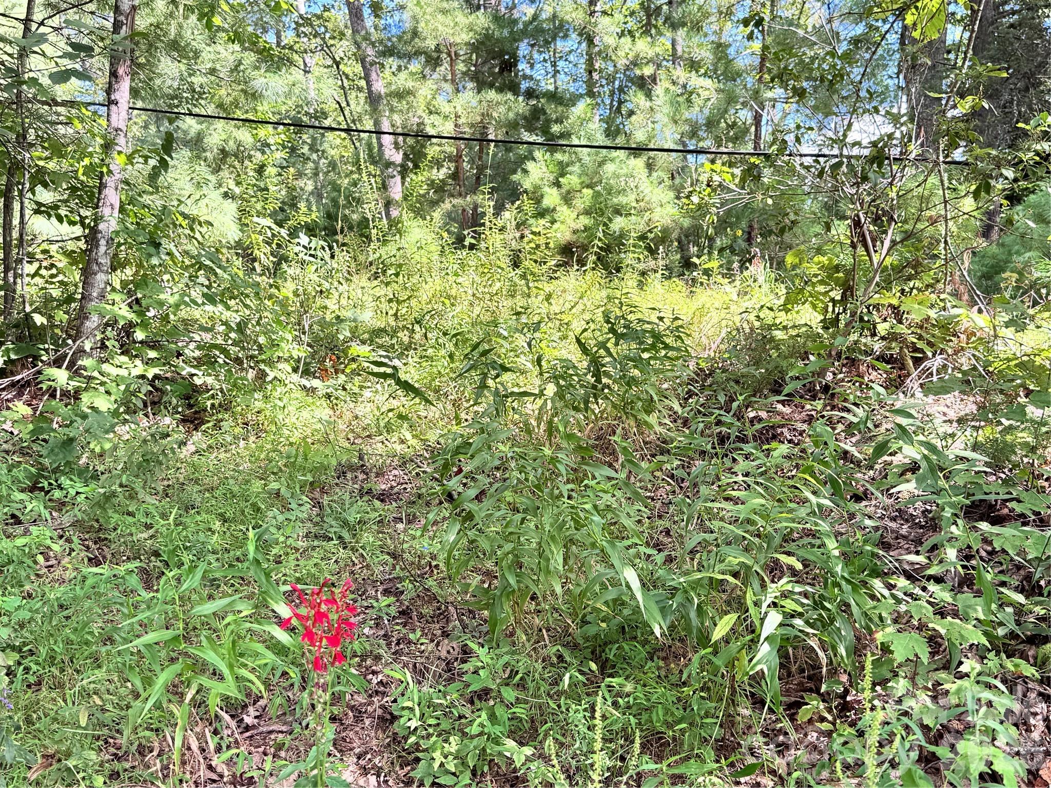 270 S Jarvis Drive Hendersonville NC 28792
