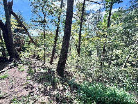 270 S Jarvis Drive Hendersonville NC 28792