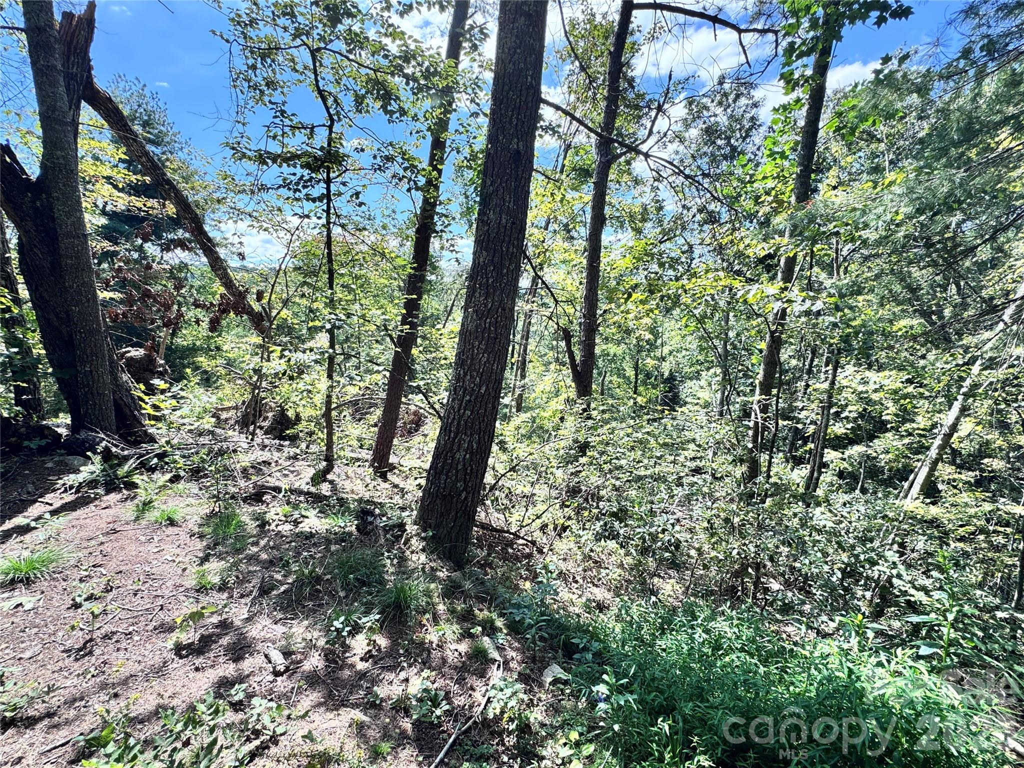 270 S Jarvis Drive Hendersonville NC 28792