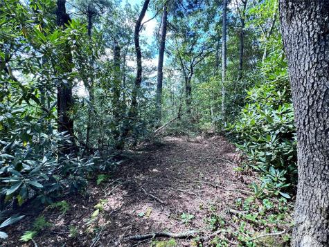 270 S Jarvis Drive Hendersonville NC 28792