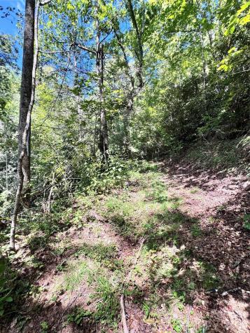 270 S Jarvis Drive Hendersonville NC 28792