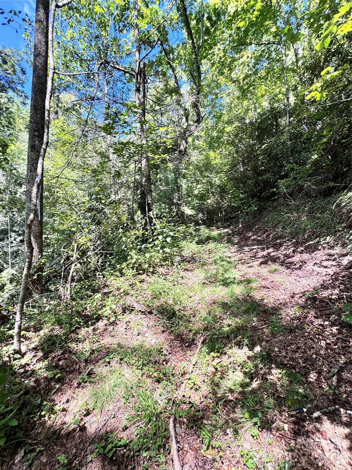 270 S Jarvis Drive Hendersonville NC 28792