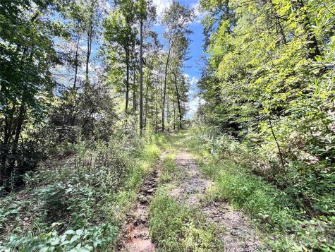 270 S Jarvis Drive Hendersonville NC 28792