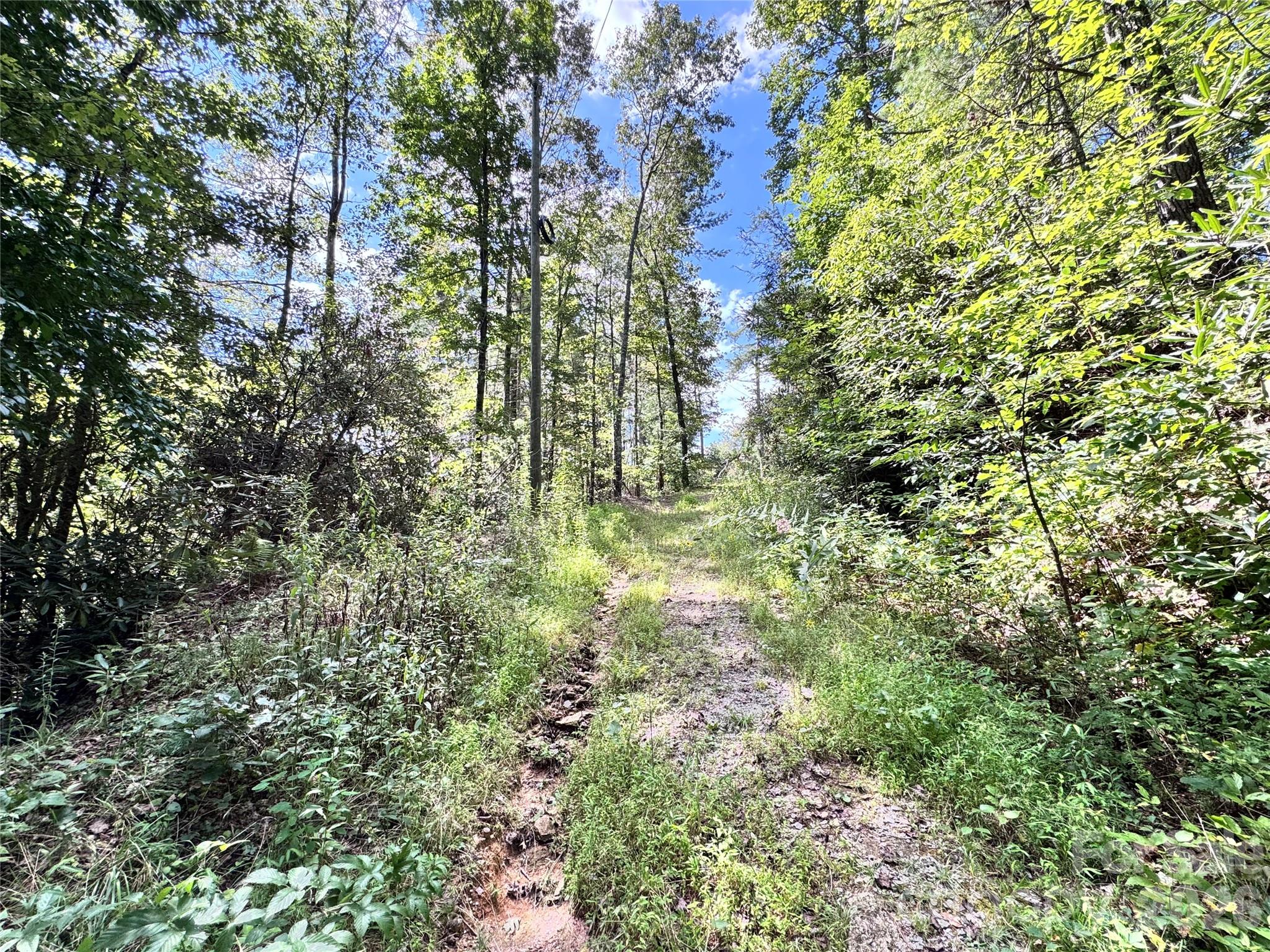 270 S Jarvis Drive Hendersonville NC 28792